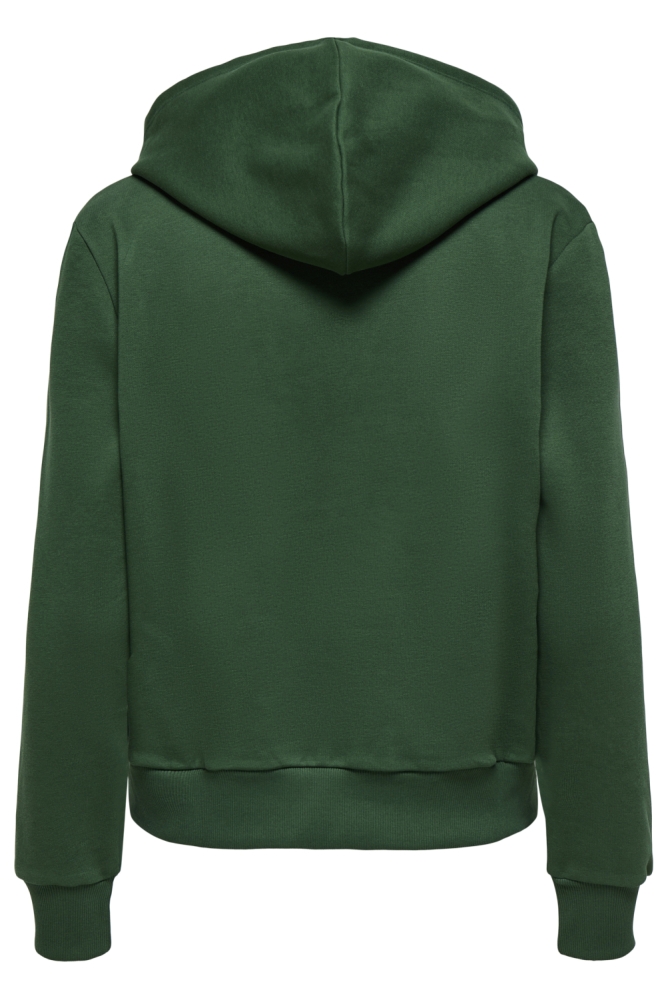 ONLNOLI L/S HEART HOOD SWT NOOS 15312874 PINENEEDLE